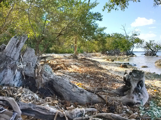 Driftwood Dusk, White Frosted, 8oz